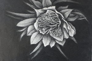 Flores en la noche