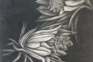 Flores en la noche