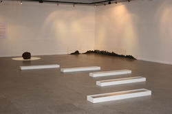 2005. De la Tierra