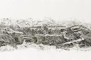 Fragmentos de un monte en extinción